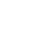 language icon